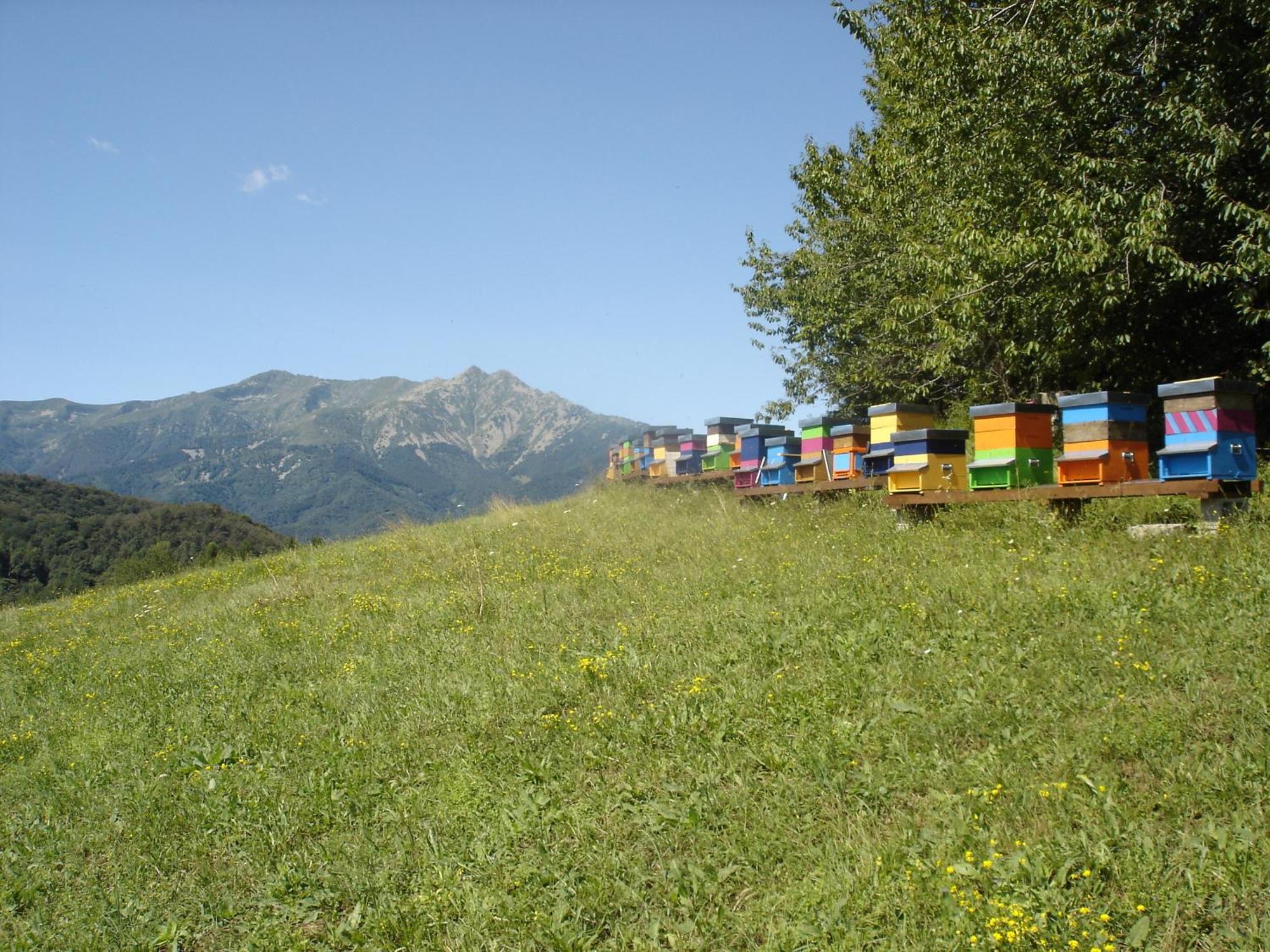 Agriturismo Bio-Ecologico Sant'Isidoro Roccaforte Mondovì Exterior foto