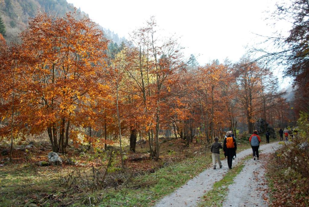 Agriturismo Bio-Ecologico Sant'Isidoro Hostal Roccaforte Mondovì Exterior foto